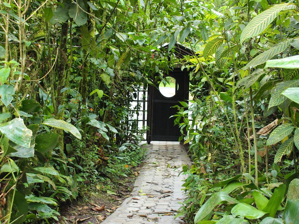 El Septimo Paraiso Mindo Exterior photo